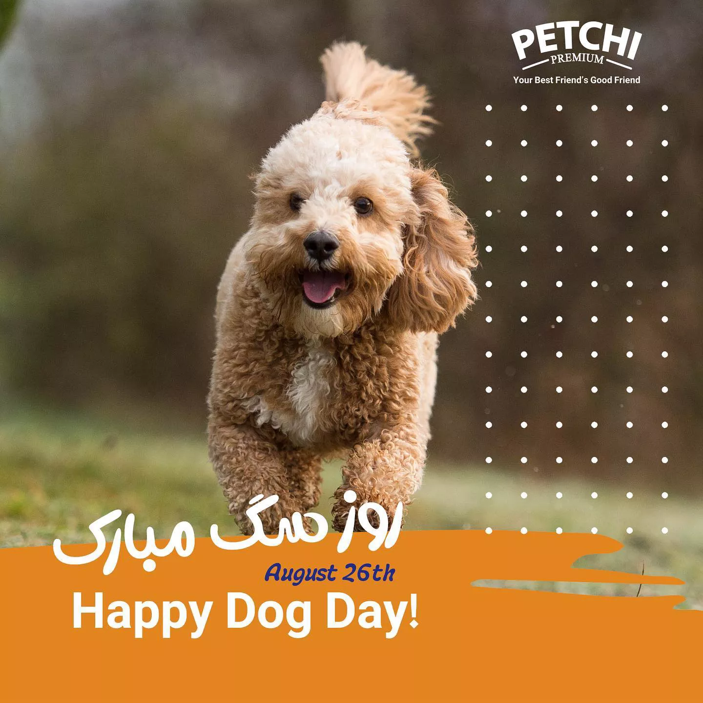 Petchi post