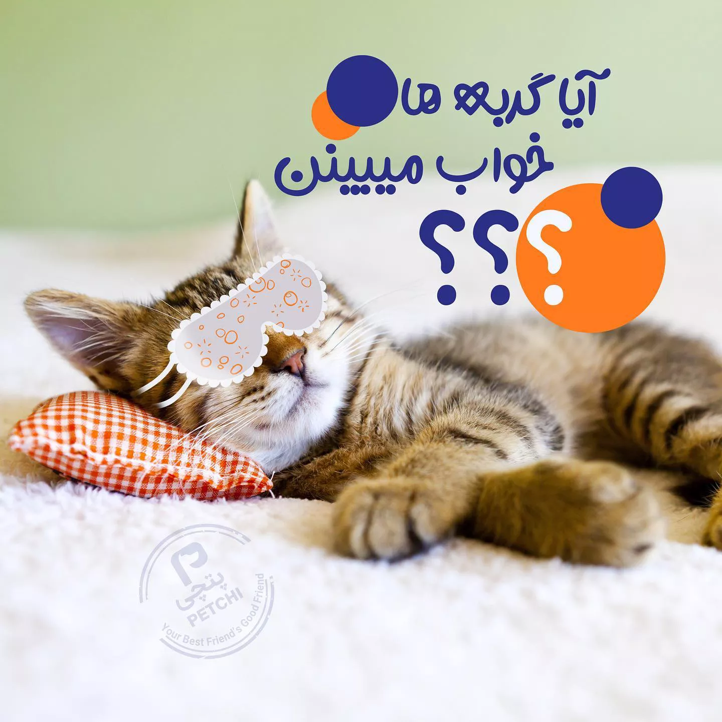 Petchi post