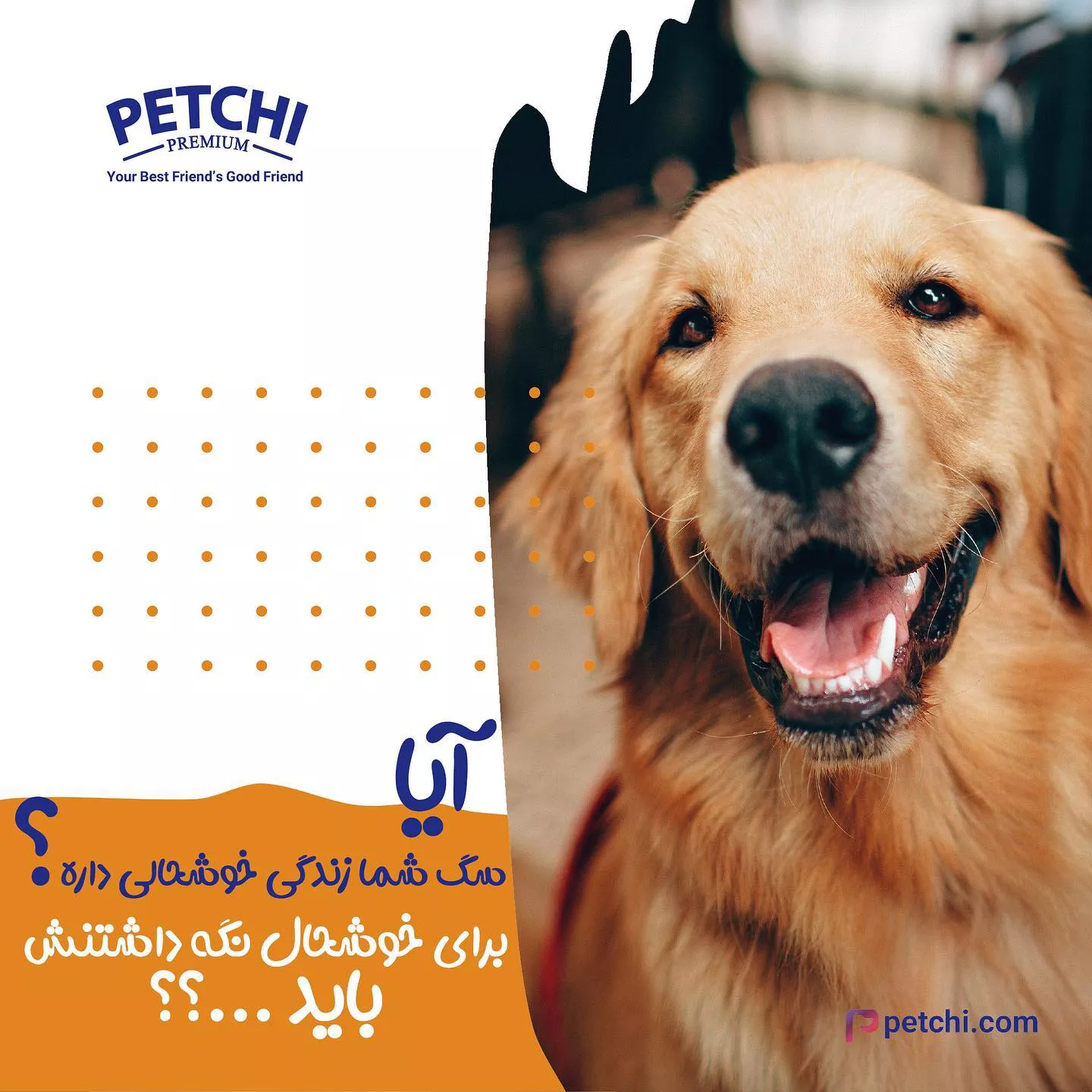 Petchi post
